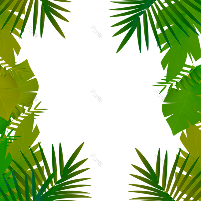 叶子图片,边框元素,边框素材PNG,花草免抠素材